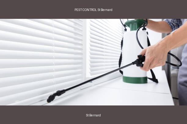 PEST CONTROL St Bernard
